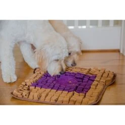 Injoya PB & J Cat & Dog Snuffle Mat, Brown, Medium -Cozy Paws 848102 PT2. AC SS1800 V1684421062