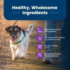 Blue Buffalo Life Protection Formula Toy Breed Adult Chicken & Brown Rice Recipe Dry Dog Food -Cozy Paws 84980 PT5. AC SS1800 V1701982276