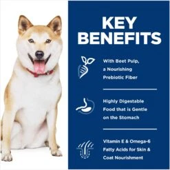 Hill's Science Diet Adult Sensitive Stomach & Skin Pollock Meal, Barley & Insect Meal Recipe Dry Dog Food 14 Hill's Science Diet Adult Sensitive Stomach & Skin Pollock Meal, Barley & Insect Meal Recipe Dry Dog Food -Cozy Paws 851670 PT4. AC SS1800 V1683901178