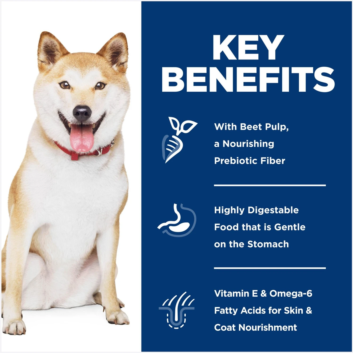 Hill's Science Diet Adult Sensitive Stomach & Skin Pollock Meal, Barley & Insect Meal Recipe Dry Dog Food 7 Hill's Science Diet Adult Sensitive Stomach & Skin Pollock Meal, Barley & Insect Meal Recipe Dry Dog Food - Image 5