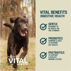 Freshpet Vital Benefits Digestive Health Fresh Dog Food -Cozy Paws 853750 PT4. AC SS1800 V1683651877