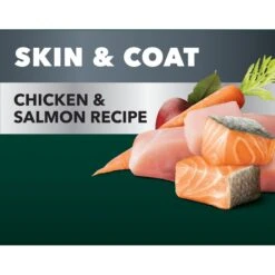 Iams Advanced Health Skin & Coat Chicken & Salmon Recipe Adult Dry Dog Food & Cesar Classic Loaf In Sauce Beef Recipe, Filet Mignon, Grilled Chicken & Porterhouse Steak Flavors Variety Pack Grain-Free Small Breed Adult Wet Dog Food Trays -Cozy Paws 854526 PT3. AC SS1800 V1683811279
