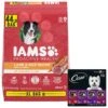 Iams Proactive Health Minichunks Small Kibble With Lamb & Rice Adult Dry Dog Food & Cesar Classic Loaf In Sauce Beef Recipe, Filet Mignon, Grilled Chicken & Porterhouse Steak Flavors Variety Pack Grain-Free Small Breed Adult Wet Dog Food Trays -Cozy Paws 854574 MAIN. AC SS1800 V1683809985