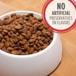 Iams Proactive Health Minichunks Small Kibble With Lamb & Rice Adult Dry Dog Food & Cesar Classic Loaf In Sauce Beef Recipe, Filet Mignon, Grilled Chicken & Porterhouse Steak Flavors Variety Pack Grain-Free Small Breed Adult Wet Dog Food Trays -Cozy Paws 854574 PT4. AC SS1800 V1683811280