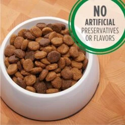 Iams Proactive Health Large Breed With Real Chicken Adult Dry Dog Food & Cesar Poultry Variety Pack With Real Chicken, Turkey & Duck Grain-Free Small Breed Adult Wet Dog Food Trays -Cozy Paws 854590 PT4. AC SS1800 V1683810410