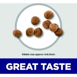 Hill's Science Diet Puppy Small & Mini Chicken Meal & Brown Rice Recipe Dry Dog Food -Cozy Paws 855614 PT4. AC SS1800 V1683901178