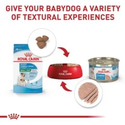 Royal Canin Size Health Nutrition Small Starter Mother & Babydog Dry Dog Food -Cozy Paws 855846 PT5. AC SS1800 V1697212396