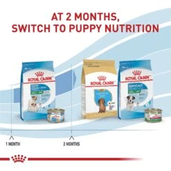 Royal Canin Size Health Nutrition Small Starter Mother & Babydog Dry Dog Food -Cozy Paws 855846 PT6. AC SS1800 V1697216693