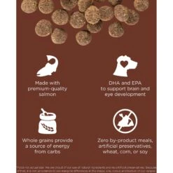 Go! Solutions Skin + Coat With Grains Puppy Large Breed Recipe Dry Dog Food -Cozy Paws 855942 PT3. AC SS1800 V1684334687