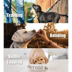 Whole Life Just One Ingredient Pure Salmon Fillet Freeze-Dried Dog & Cat Treats -Cozy Paws 85599 PT2. AC SS1800 V1673990699