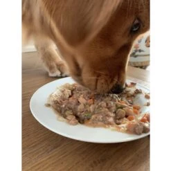 Caru Real Beef Stew Grain-Free Wet Dog Food -Cozy Paws 85696 PT3. AC SS1800 V1701366052