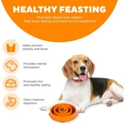 Outward Hound Fun Feeder Interactive Dog Bowl, Orange -Cozy Paws 85929 PT3. AC SS1800 V1694440099
