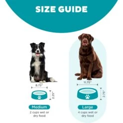 Outward Hound Non-Skid Plastic Slow Feeder Interactive Dog Bowl -Cozy Paws 85930 PT4. AC SS1800 V1694439685