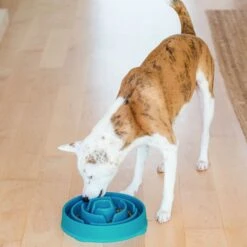 Outward Hound Non-Skid Plastic Slow Feeder Interactive Dog Bowl -Cozy Paws 85930 PT5. AC SS1800 V1694287363