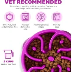 Outward Hound Fun Feeder Interactive Dog Bowl, Purple -Cozy Paws 85933 PT2. AC SS1800 V1694286650