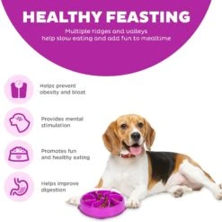 Outward Hound Fun Feeder Interactive Dog Bowl, Purple -Cozy Paws 85933 PT3. AC SS1800 V1694440055