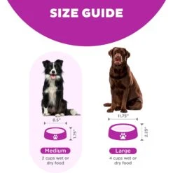 Outward Hound Fun Feeder Interactive Dog Bowl, Purple -Cozy Paws 85933 PT4. AC SS1800 V1694286100