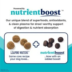 Solid Gold Nutrientboost Leaping Waters Sensitive Stomach Grain-Free Cold Water Salmon & Vegetable Dry Dog Food -Cozy Paws 861534 PT2. AC SS1800 V1695999592