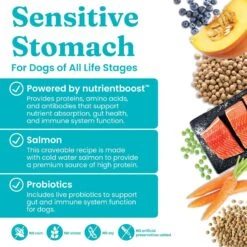 Solid Gold Nutrientboost Leaping Waters Sensitive Stomach Grain-Free Cold Water Salmon & Vegetable Dry Dog Food -Cozy Paws 861534 PT3. AC SS1800 V1695999083