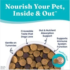 Solid Gold Nutrientboost Leaping Waters Sensitive Stomach Grain-Free Cold Water Salmon & Vegetable Dry Dog Food -Cozy Paws 861534 PT5. AC SS1800 V1695999060