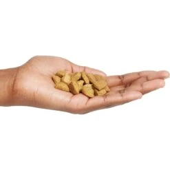 Purina Pro Plan Adult Shredded Blend Salmon & Rice Formula Dry Dog Food -Cozy Paws 86251 PT2. AC SS1800 V1649216841