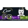 Cesar Classic Loaf In Sauce Top Sirloin & Grilled Chicken Flavors Variety Pack Grain-Free Small Breed Adult Wet Dog Food Trays -Cozy Paws 86452 MAIN. AC SS1800 V1695650021