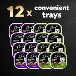 Cesar Classic Loaf In Sauce Top Sirloin & Grilled Chicken Flavors Variety Pack Grain-Free Small Breed Adult Wet Dog Food Trays -Cozy Paws 86452 PT8. AC SS1800 V1695676401