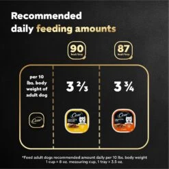 Cesar Classic Loaf In Sauce Breakfast & Dinner Mealtime Variety Pack Grain-Free Small Breed Adult Wet Dog Food Trays -Cozy Paws 86454 PT6. AC SS1800 V1695666297