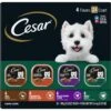 Cesar Poultry Variety Pack With Real Chicken, Turkey & Duck Grain-Free Small Breed Adult Wet Dog Food Trays