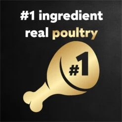 Cesar Poultry Variety Pack With Real Chicken, Turkey & Duck Grain-Free Small Breed Adult Wet Dog Food Trays -Cozy Paws 86458 PT3. AC SS1800 V1695662246