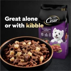 Cesar Home Delights Slow Cooked Chicken & Vegetables & Beef Stew Variety Pack Small Breed Adult Wet Dog Food Trays -Cozy Paws 86476 PT7. AC SS1800 V1695674600