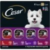 Cesar Classic Loaf In Sauce Beef Recipe, Filet Mignon, Grilled Chicken & Porterhouse Steak Flavors Variety Pack Grain-Free Small Breed Adult Wet Dog Food Trays