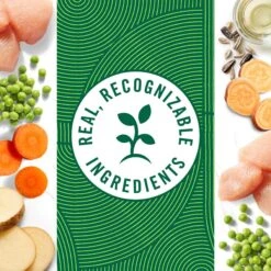 Nutro Grain-Free Premium Loaf Slow Cooked Chicken, Potato, Carrot & Pea Recipe Grain-Free Canned Adult Wet Dog Food -Cozy Paws 86747 PT4. AC SS1800 V1691418776