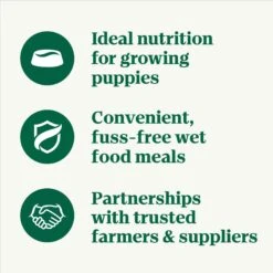 Nutro Puppy Tender Grain-Free Chicken, Sweet Potato & Pea Recipe Bites In Gravy Wet Dog Food Trays -Cozy Paws 86748 PT3. AC SS1800 V1691423585