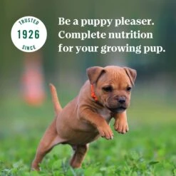 Nutro Puppy Tender Grain-Free Chicken, Sweet Potato & Pea Recipe Bites In Gravy Wet Dog Food Trays -Cozy Paws 86748 PT7. AC SS1800 V1691416148