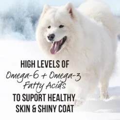 Merrick Backcountry Grain-Free 96% Real Beef Dinner Recipe Canned Dog Food -Cozy Paws 86947 PT5. AC SS1800 V1636585062