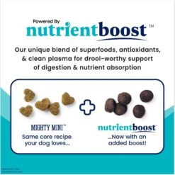 Solid Gold NutrientBoost Mighty Mini Gut Health Small & Toy Breed Grain-Free Chicken, Chickpea & Pumpkin Dry Dog Food -Cozy Paws 870430 PT2. AC SS1800 V1695999061