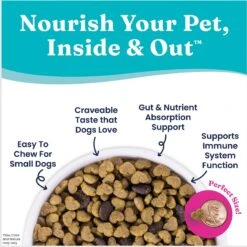 Solid Gold NutrientBoost Mighty Mini Gut Health Small & Toy Breed Grain-Free Chicken, Chickpea & Pumpkin Dry Dog Food -Cozy Paws 870430 PT4. AC SS1800 V1695999562