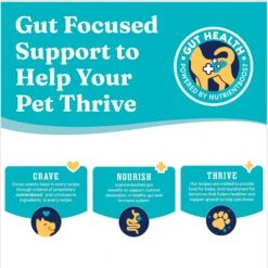 Solid Gold NutrientBoost Mighty Mini Gut Health Small & Toy Breed Grain-Free Chicken, Chickpea & Pumpkin Dry Dog Food -Cozy Paws 870430 PT7. AC SS1800 V1695999592
