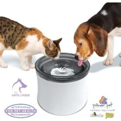 Pioneer Pet Vortex Drinking Dog & Cat Fountain, Gray, Medium -Cozy Paws 873102 PT3. AC SS1800 V1686328488