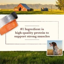 Whole Earth Farms Grain-Free Salmon & Whitefish Dry Dog Food -Cozy Paws 87371 PT3. AC SS1800 V1647907293