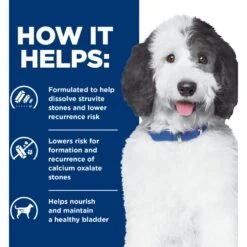 Hill's Prescription Diet C/d Multicare Urinary Care Chicken Flavor Dry Dog Food -Cozy Paws 87463 PT3. AC SS1800 V1651194158