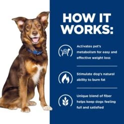 Hill's Prescription Diet Metabolic Weight Management Vegetable & Beef Stew Canned Dog Food -Cozy Paws 87468 PT6. AC SS1800 V1521064463