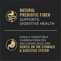 Purina Pro Plan Adult Sensitive Skin & Stomach Salmon & Lamb Wet Dog Food, 13-oz Can, Case Of 12 -Cozy Paws 877742 PT3. AC SS1800 V1686070814