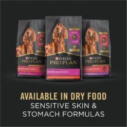 Purina Pro Plan Adult Sensitive Skin & Stomach Salmon & Lamb Wet Dog Food, 13-oz Can, Case Of 12 -Cozy Paws 877742 PT6. AC SS1800 V1686070816