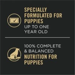 Purina Pro Plan Development Variety Pack Puppy Grain-Free Chicken Entree & Turkey Entree Wet Dog Food, 13-oz Can, Case Of 12 -Cozy Paws 877758 PT6. AC SS1800 V1686070758