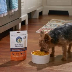 Under The Weather Rice, Chicken & Pumpkin Freeze-Dried Dog Food, 6-oz Bag, 3 Count -Cozy Paws 878734 PT6. AC SS1800 V1687201845