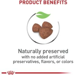 Royal Canin Size Health Nutrition Small Indoor Puppy Dry Dog Food -Cozy Paws 88062 PT3. AC SS1800 V1697213833