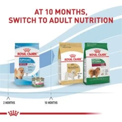 Royal Canin Size Health Nutrition Small Indoor Puppy Dry Dog Food -Cozy Paws 88062 PT6. AC SS1800 V1697212368