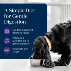 Blue Buffalo Basics Skin & Stomach Care Grain-Free Turkey & Potato Senior Canned Dog Food -Cozy Paws 88193 PT2. AC SS1800 V1646251343